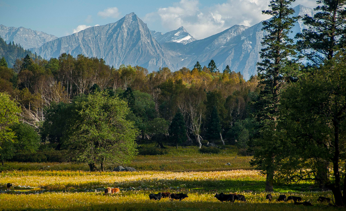 Camping Can Let You Experience The Great Outdoors