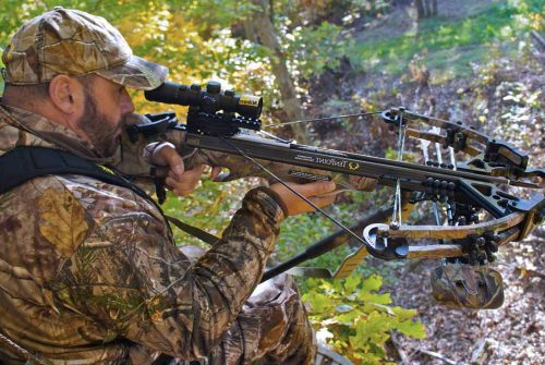 10 Best Crossbows for the Money