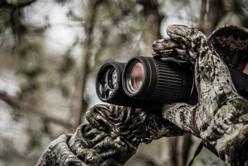 Best Binoculars for Hunting in 2024