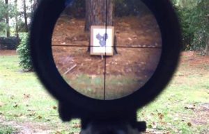 Reticle and Focal Plane